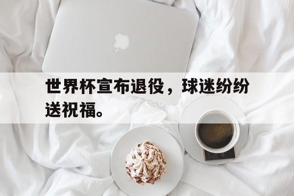 IM电竞APP-世界杯宣布退役，球迷纷纷送祝福。