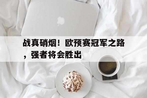 IM电竞集团官方-战真硝烟！欧预赛冠军之路，强者将会胜出