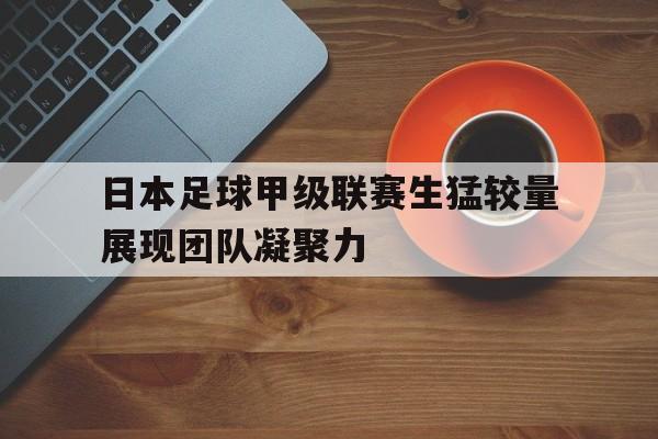 IM电竞集团官方-日本足球甲级联赛生猛较量展现团队凝聚力