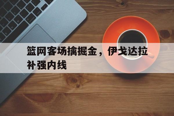IM电竞下载-篮网客场擒掘金，伊戈达拉补强内线